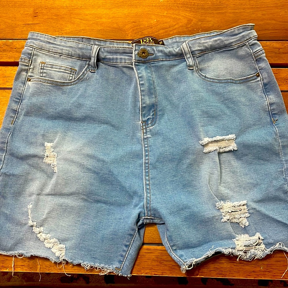 L&B size 16 shorts